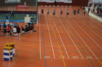 Halle SG