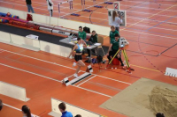 Halle SG