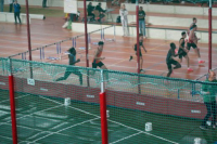 Halle SG