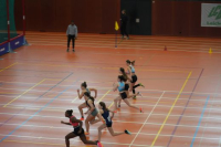 Halle SG