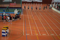 Halle SG
