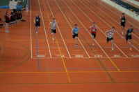 Halle SG
