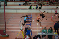 Halle SG