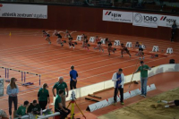 Halle SG