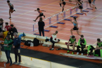 Halle SG
