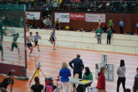 Halle SG