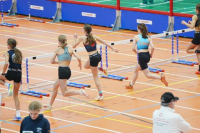 Halle SG
