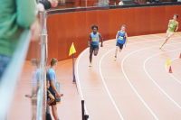 Halle SG