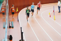 Halle SG