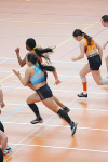 Halle SG