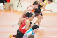 Halle SG