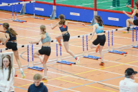 Halle SG