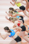 Halle SG