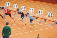 Halle SG