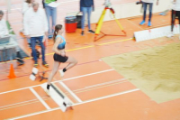Halle SG