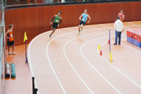 Halle SG