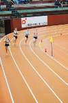Halle SG