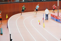 Halle SG