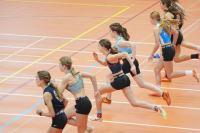 Halle SG