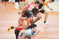 Halle SG