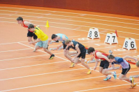 Halle SG