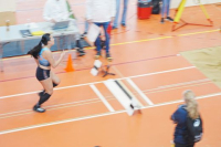 Halle SG
