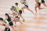 Halle SG