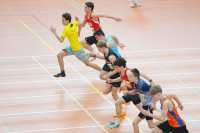 Halle SG