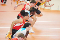 Halle SG