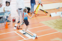 Halle SG