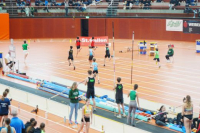 Halle SG