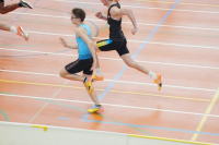 Halle SG