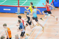 Halle SG