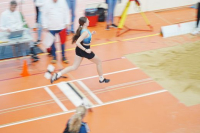Halle SG