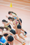 Halle SG
