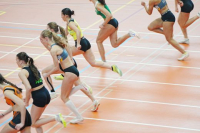 Halle SG