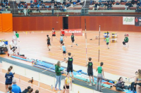 Halle SG