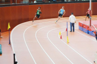 Halle SG