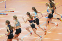Halle SG