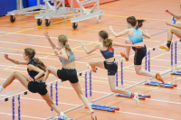 Halle SG