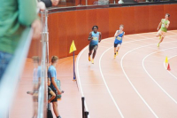 Halle SG