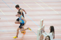 Halle SG