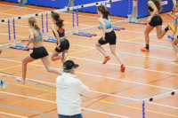 Halle SG