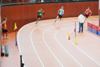 Halle SG