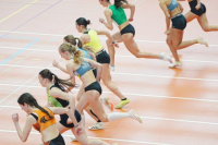 Halle SG