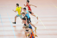 Halle SG