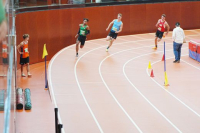 Halle SG