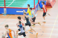 Halle SG
