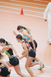 Halle SG