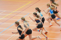 Halle SG